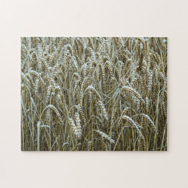 Puzzle du champ de blé (Horizontal)