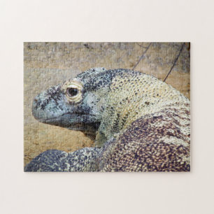 Puzzle du Dragon de Komodo