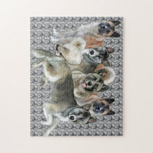 Puzzle du groupe familial Akita