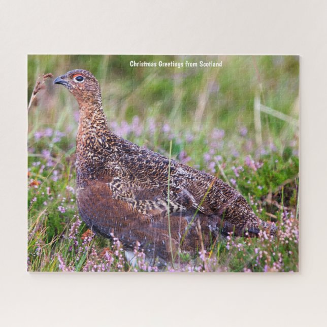 Puzzle du Groupement rouge (Horizontal)