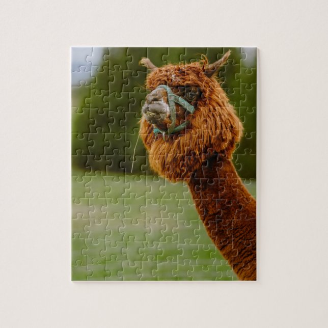 Puzzle du Lama (Vertical)