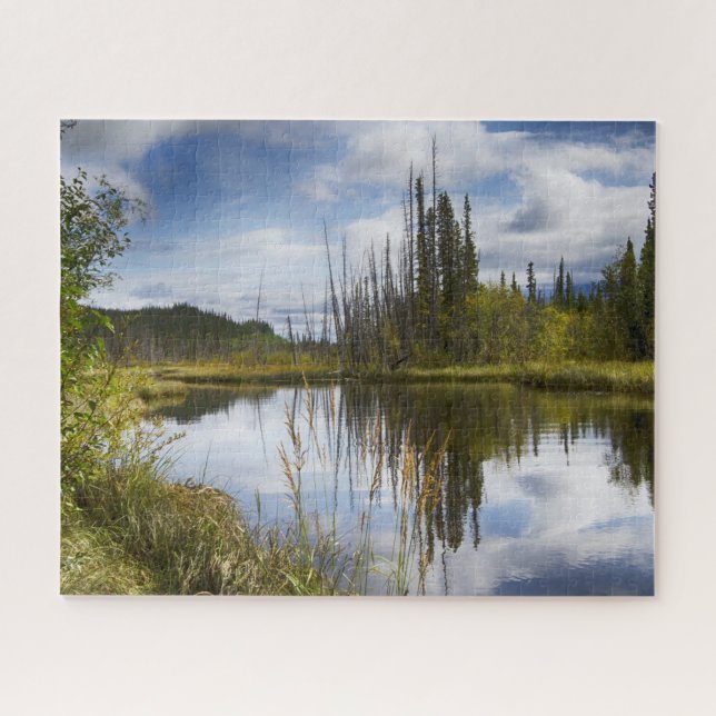 Puzzle du paysage de l'Alaska (Horizontal)