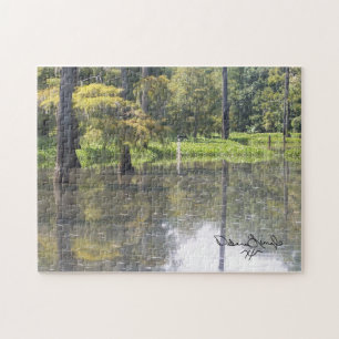 Puzzle du sud-est du Texas