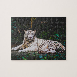 Puzzle du Tigre