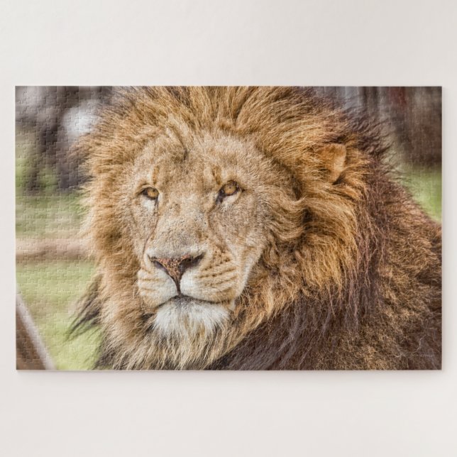 Puzzle du visage Lion grand (Horizontal)