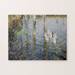 Puzzle Duck Photography Art