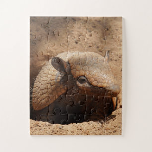 Puzzle Dwarf Armadillo Dit Bonjour