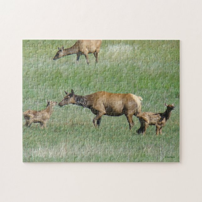 Puzzle E3 Elk et veaux de vache Nez au nez (Horizontal)