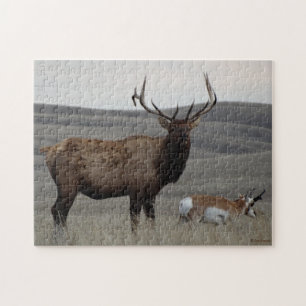 Puzzle E63 Bull Elk et Pronghorn Antelope