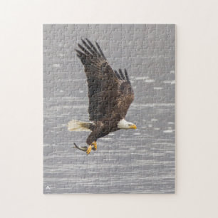 Puzzle Eagle chauve américain