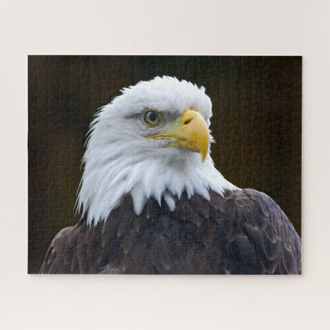 Puzzle Eagle chauve américain (Horizontal)