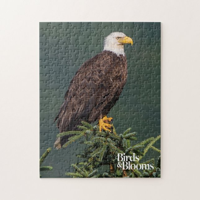 Puzzle Eagle chauve majestueux (Vertical)