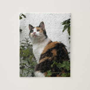 Puzzle Écaille et chat blanc