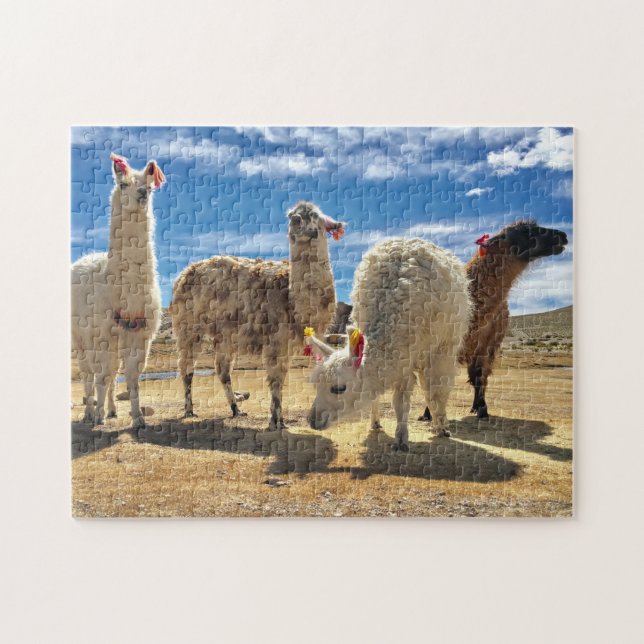 Puzzle Écran Llama (Horizontal)