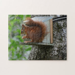 Puzzle Écureuil Rouge Rongeur Mignon Nature Jardin Repas