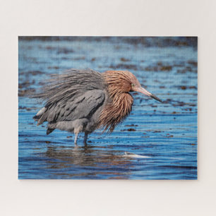 Puzzle Egret rouge sur North Beach