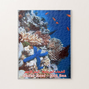 Puzzle Égypte - Mer Rouge - Barrière de corail -