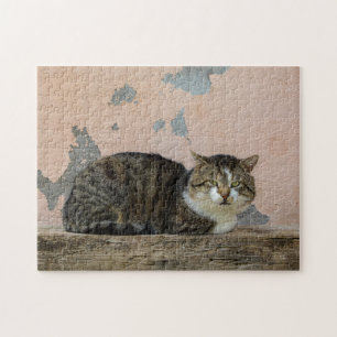 Puzzle Eine Katze vor alter Mauer