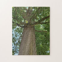 Élégance du haut en haut