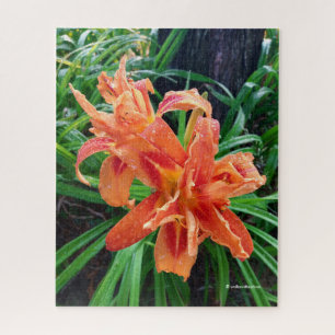 Puzzle Elégant Bedeweed Orange Double Flowlinlies