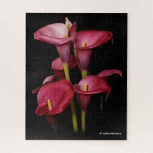 Puzzle Élégant Calla Lilies