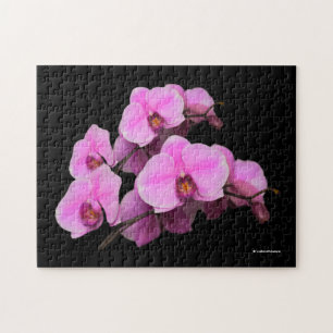 Puzzle Élégant orchidées roses Phalaenopsis sur noir