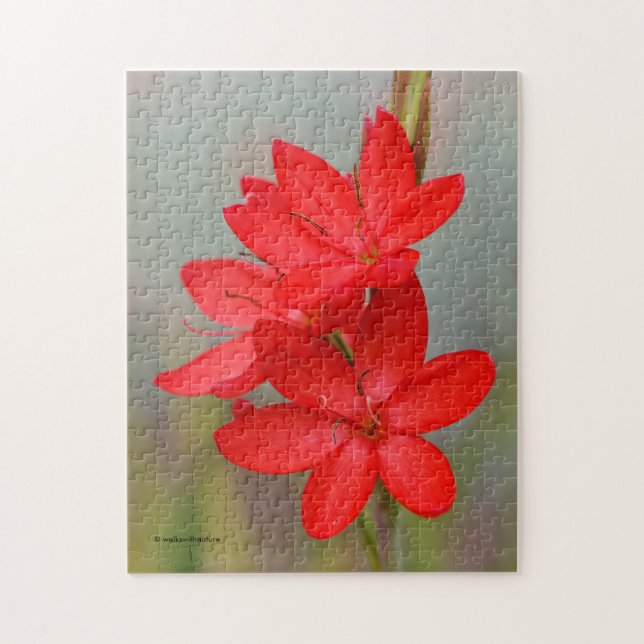 Puzzle Elégant River Lily / Drapeau Crimson Fleurs rouges (Vertical)
