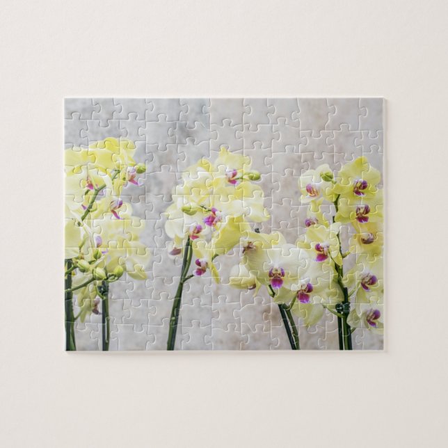 Puzzle Elégante Crème Romantique & Orchidées Lilac (Horizontal)