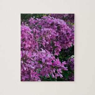 Puzzle Élégante floraison de magenta violet profond fleur