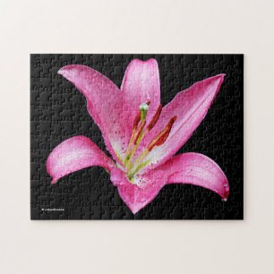 Puzzle Élégante Lys Lilium Lilium Oriental Rose Stargazer