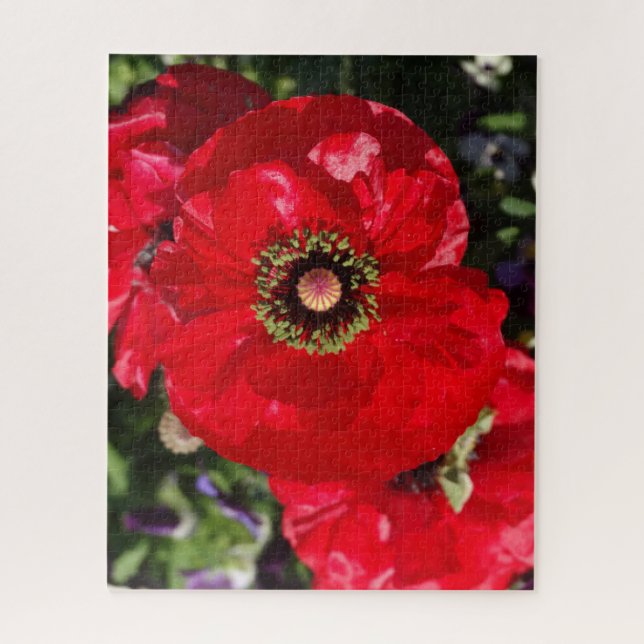 Puzzle Élégante Photo moderne Californie Fleur de pavot r (Vertical)