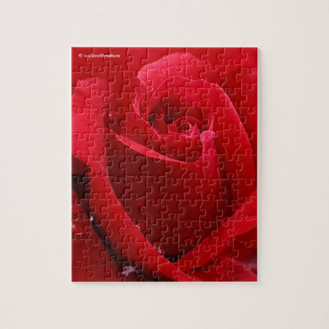 Puzzle Élégante Rose rouge romantique (Vertical)