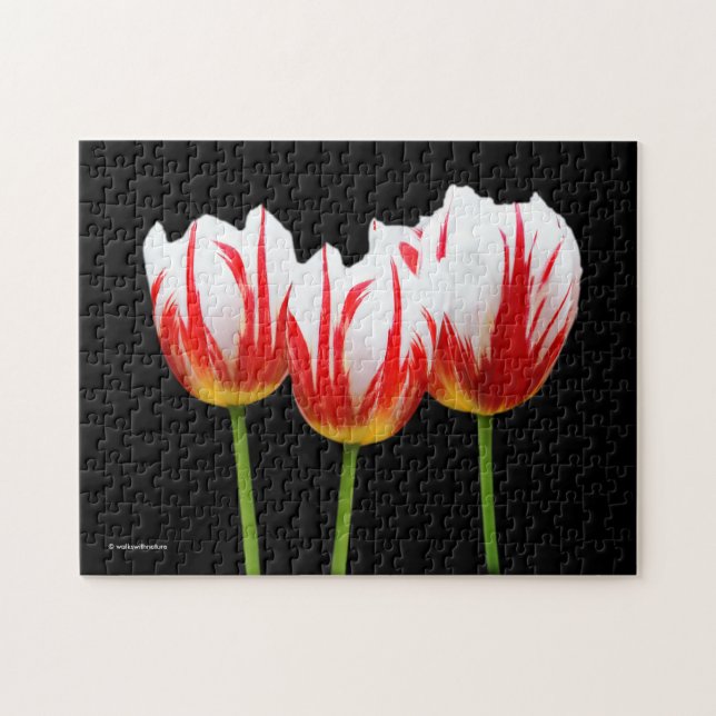 Puzzle Élégantes tulipes à feuilles d'érable (Horizontal)