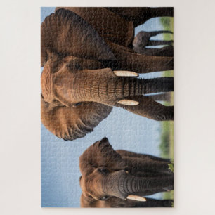 Puzzle Eléphant africain