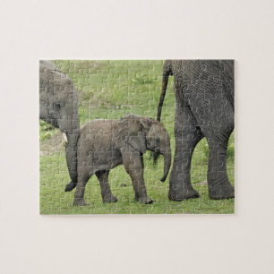 Puzzle Eléphant africain avec bébé