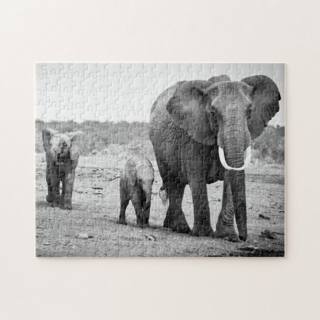 Puzzle Éléphant africain et veaux | Kenya, Afrique (Horizontal)