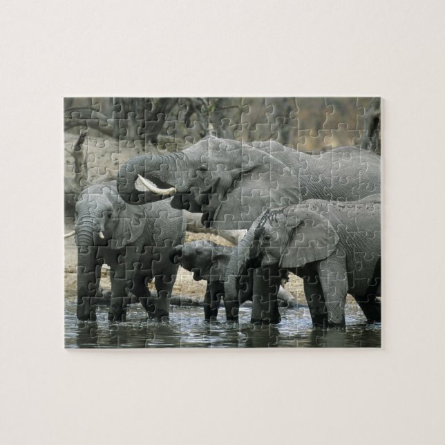 Puzzle Eléphant africain, (Loxodonta africana), boire (Horizontal)