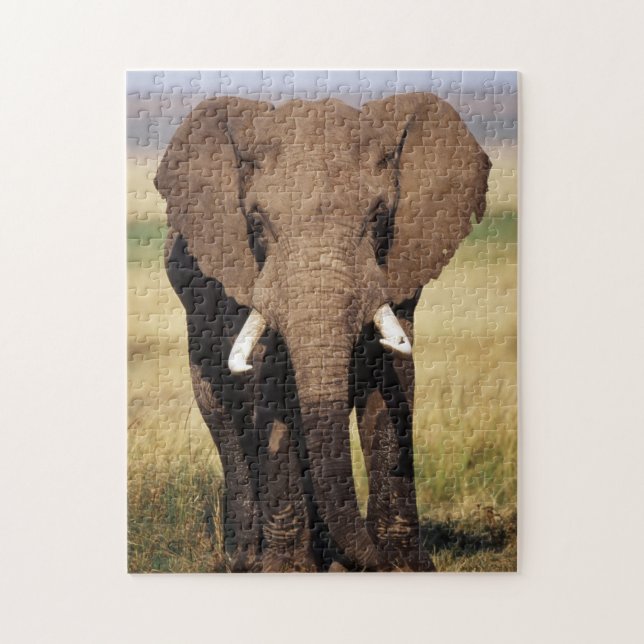 Puzzle Éléphant de savane d'Afrique (Vertical)