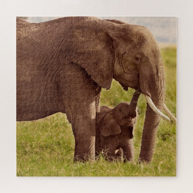 Puzzle Éléphant et bébé des images | de Getty (Horizontal)