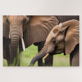 Puzzle Eléphant mère et bébé