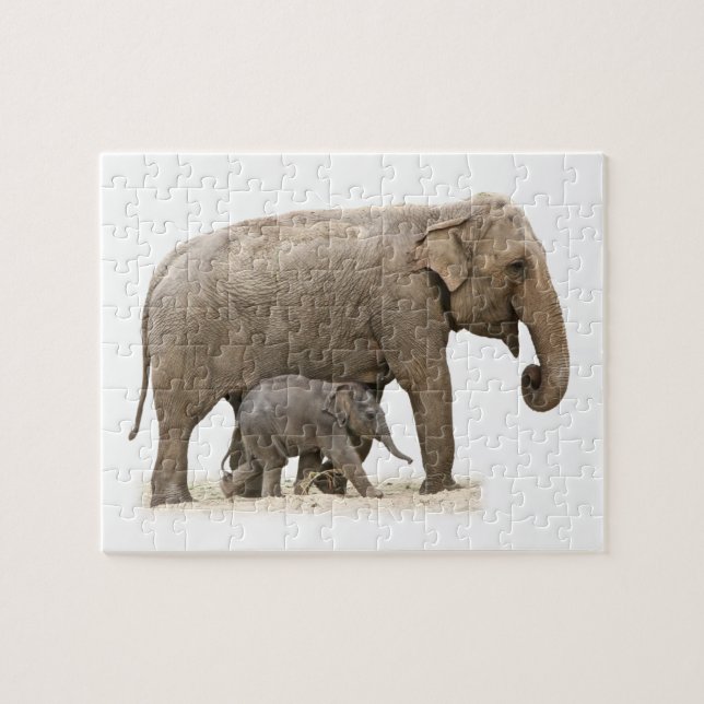 Puzzle Eléphant mère et bébé (Horizontal)