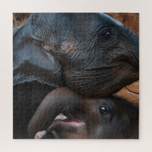 Puzzle Eléphants bébés dans l'eau souriant