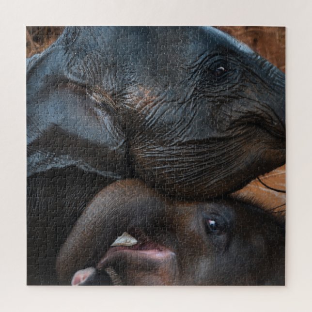 Puzzle Eléphants bébés dans l'eau souriant (Vertical)