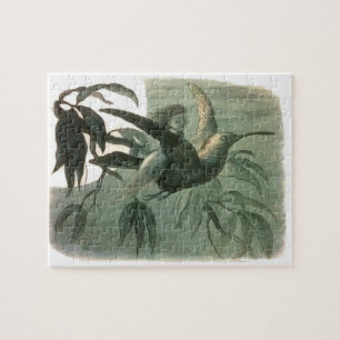 Puzzle Elf Fairies Elves Moon Night Scene Bird Flying