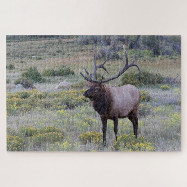 Puzzle Elk américain | Parc national Rocky, Colorado (Horizontal)