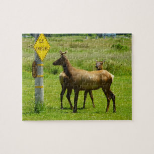 Puzzle Elk Crossing California Wildlife Photography