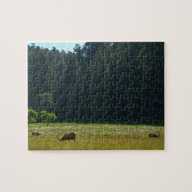Puzzle Elk Meadow at Redwood National Park (Horizontal)