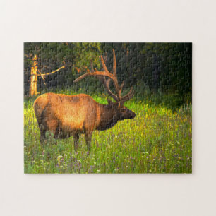 Puzzle Elk Yellowstone Montana.