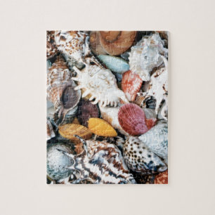 Puzzle Elle vend des coquilles de mer