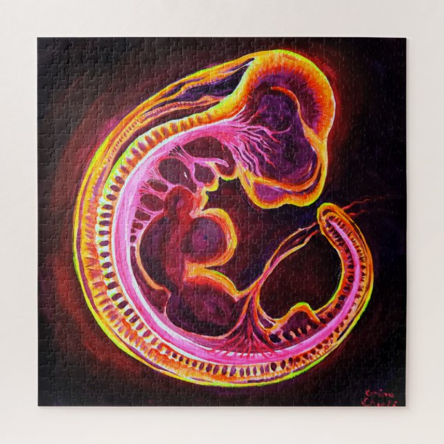 Puzzle Embryo (Vertical)